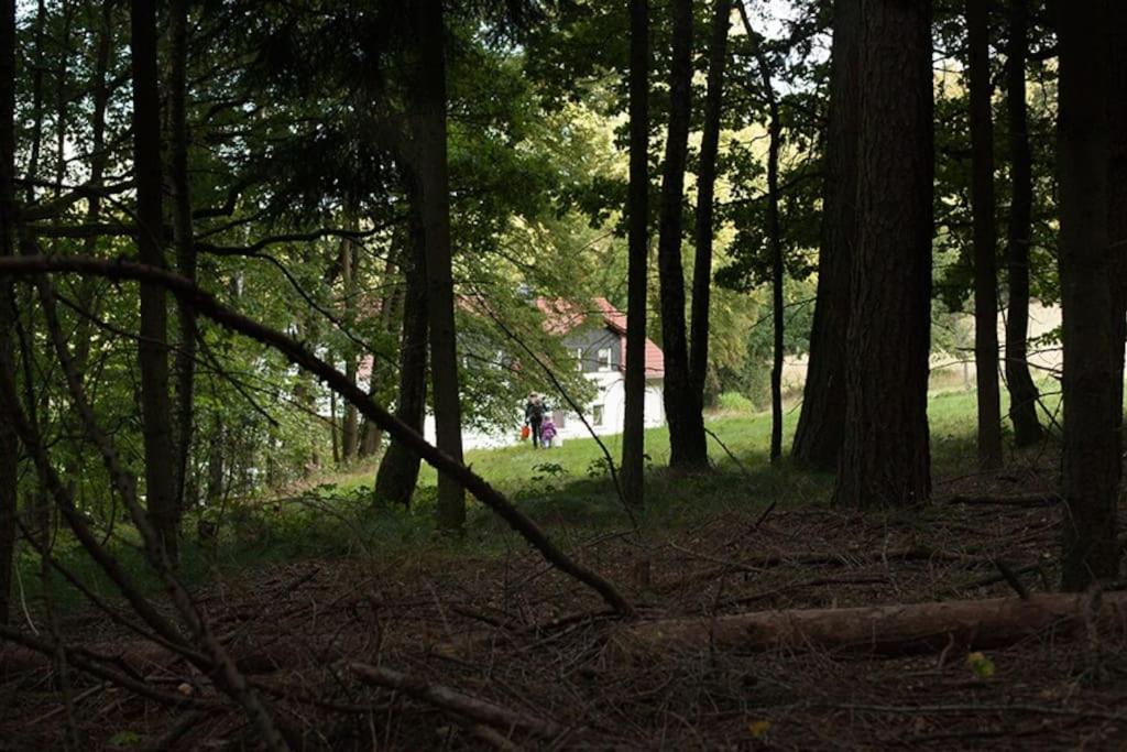 Wald-Apartment Limabach - Oberfrohna 外观 照片