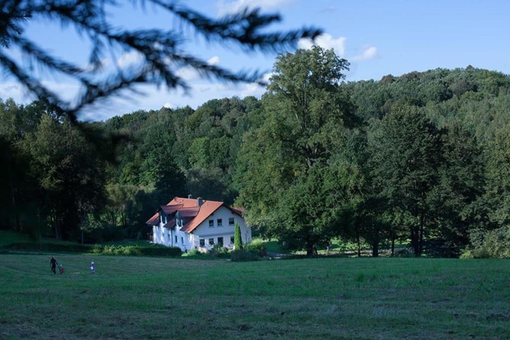 Wald-Apartment Limabach - Oberfrohna 外观 照片