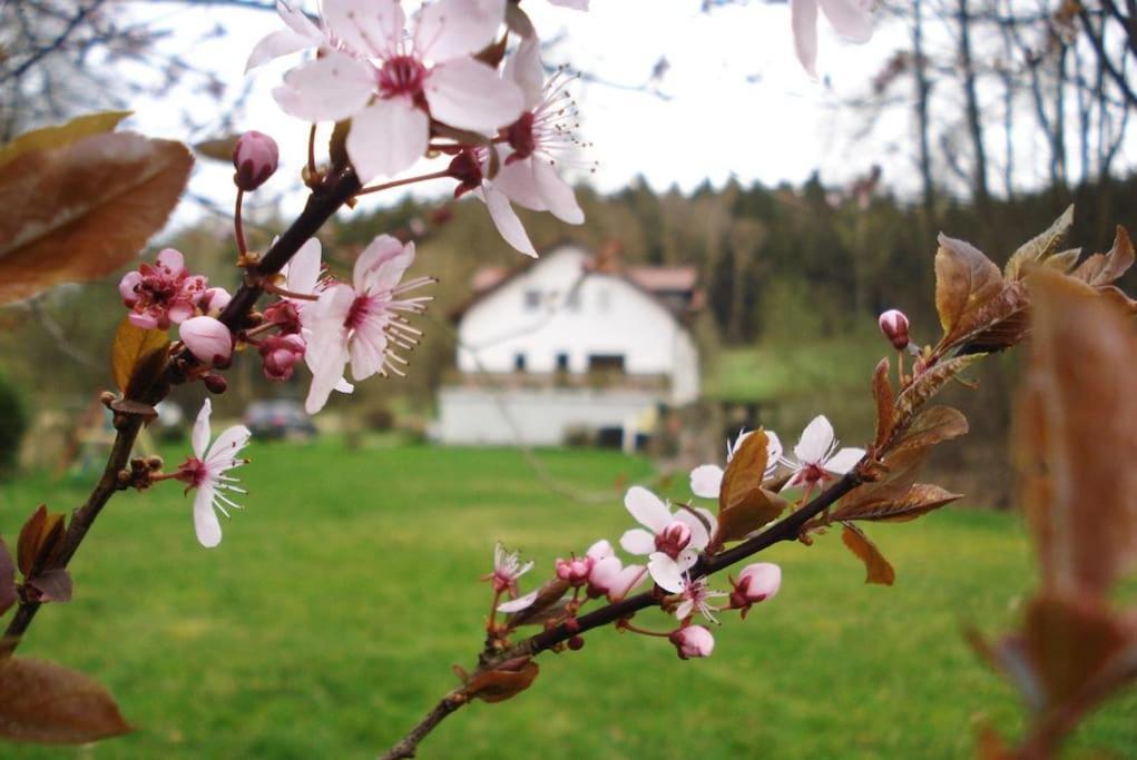 Wald-Apartment Limabach - Oberfrohna 外观 照片