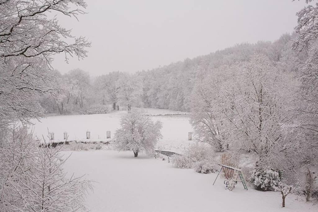 Wald-Apartment Limabach - Oberfrohna 外观 照片