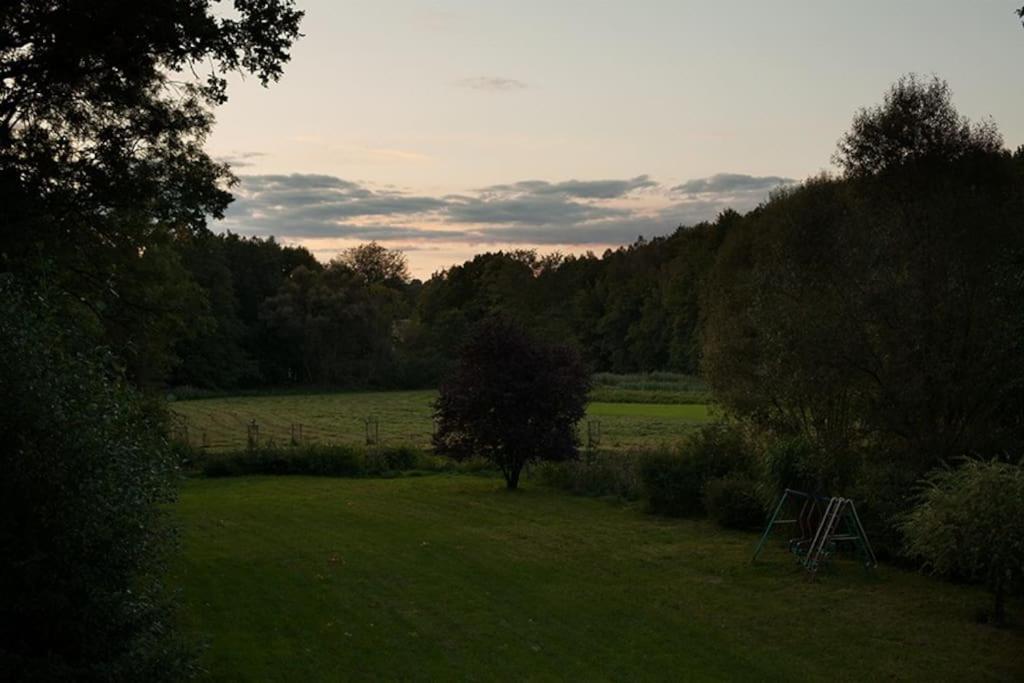 Wald-Apartment Limabach - Oberfrohna 外观 照片