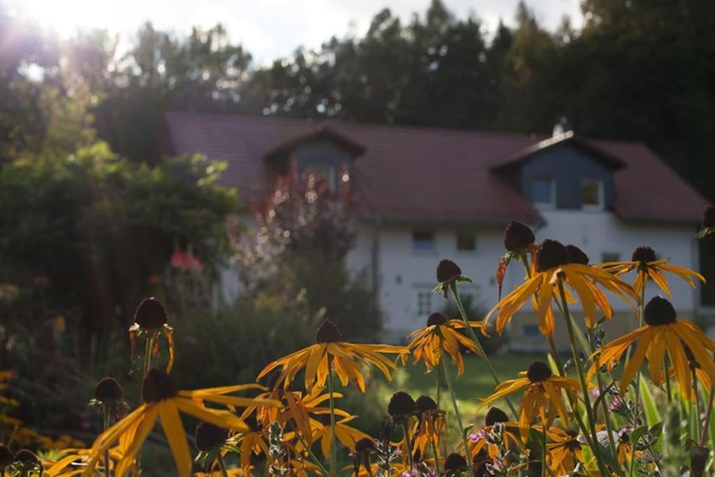 Wald-Apartment Limabach - Oberfrohna 外观 照片