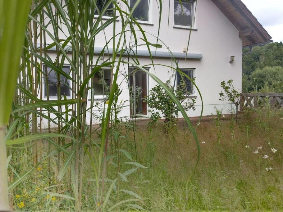 Wald-Apartment Limabach - Oberfrohna 外观 照片