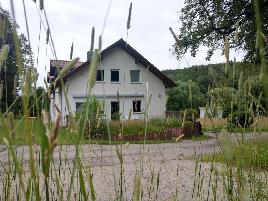 Wald-Apartment Limabach - Oberfrohna 外观 照片