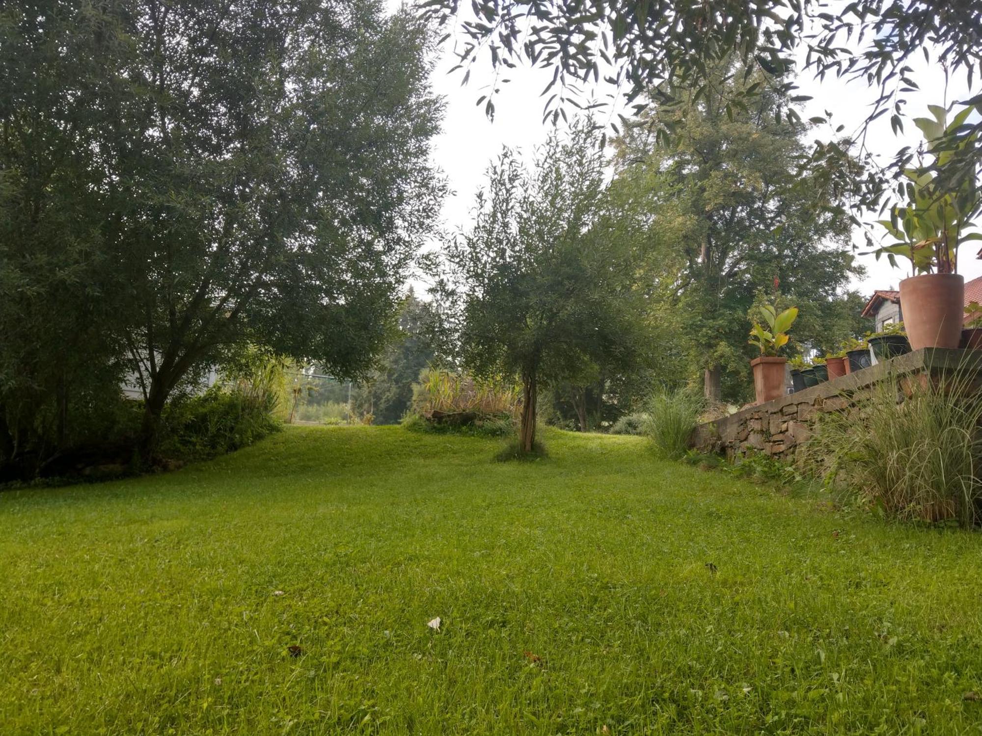 Wald-Apartment Limabach - Oberfrohna 外观 照片